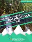 Kecamatan Mowewe Dalam Angka 2020