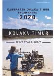 Kolaka Timur Regency in Figures 2020